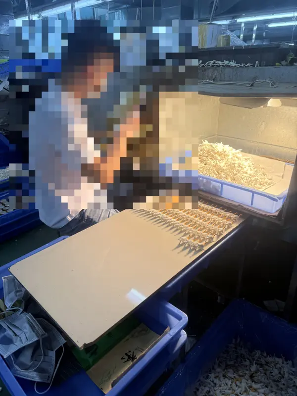 塗装工程 05